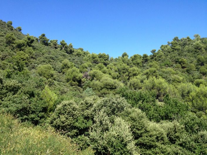 Image No.7-Propriété de 7 chambres à vendre à Lourmarin