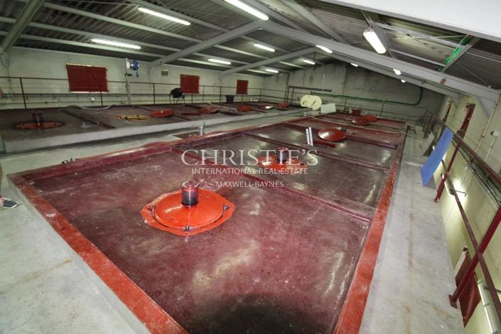 Image No.10-Maison de 14 chambres à vendre à Saint-Ciers-de-Canesse