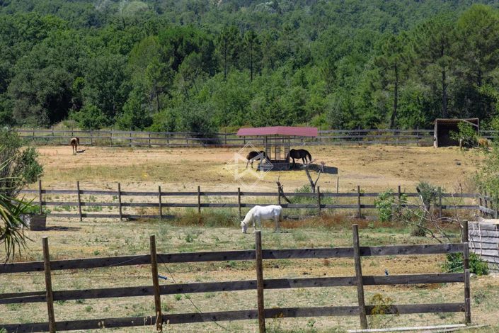 Image No.10-Maison de 7 chambres à vendre à Fayence
