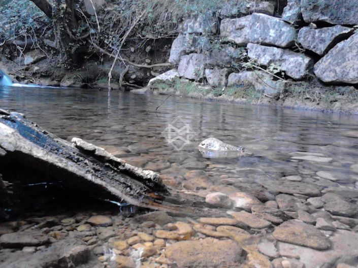 Image No.7-Maison de 5 chambres à vendre à Fayence