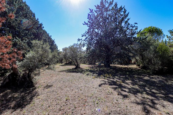 Image No.26-Maison de 3 chambres à vendre à Flayosc