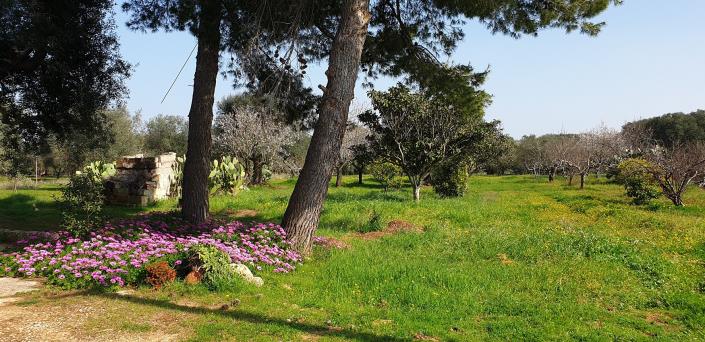 Image No.7-1 Bed Cottage for sale