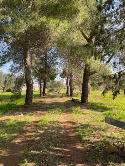 Image No.11-1 Bed Cottage for sale