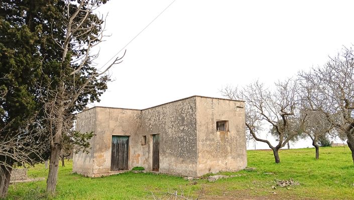 Image No.6-Propriété de 2 chambres à vendre à San Vito dei Normanni