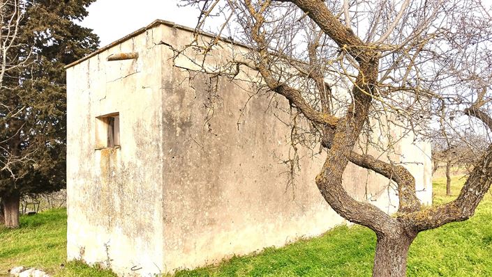 Image No.16-Propriété de 2 chambres à vendre à San Vito dei Normanni