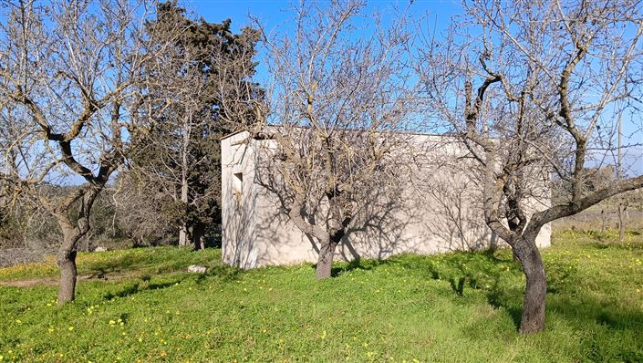 Image No.17-Propriété de 2 chambres à vendre à San Vito dei Normanni
