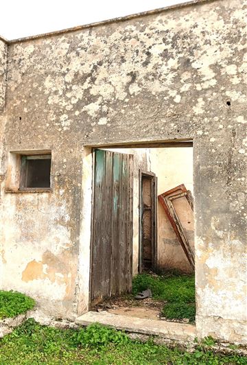 Image No.18-Propriété de 2 chambres à vendre à San Vito dei Normanni