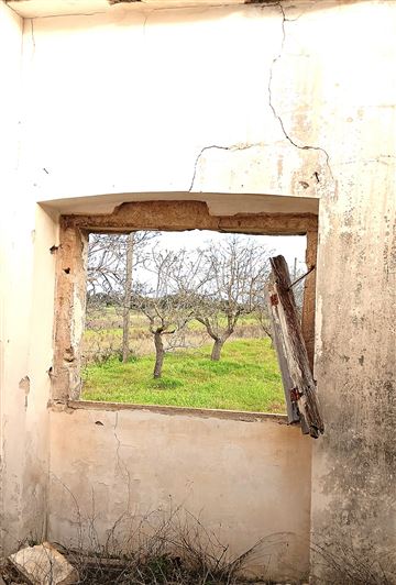 Image No.21-Propriété de 2 chambres à vendre à San Vito dei Normanni