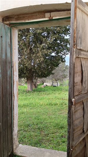 Image No.9-Propriété de 2 chambres à vendre à San Vito dei Normanni