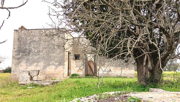 Image No.10-Propriété de 2 chambres à vendre à San Vito dei Normanni