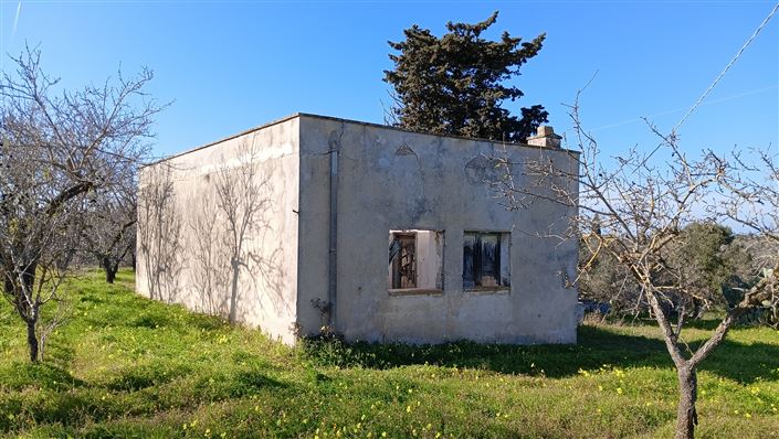 Image No.11-Propriété de 2 chambres à vendre à San Vito dei Normanni