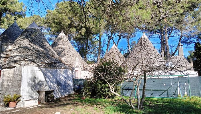 Image No.27-Propriété de 7 chambres à vendre à Fasano