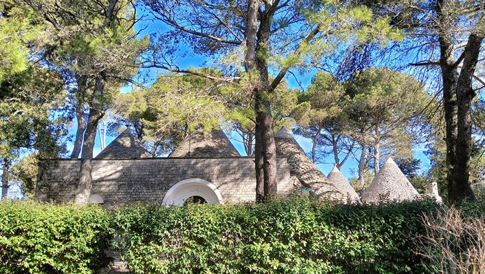 Image No.28-Propriété de 7 chambres à vendre à Fasano