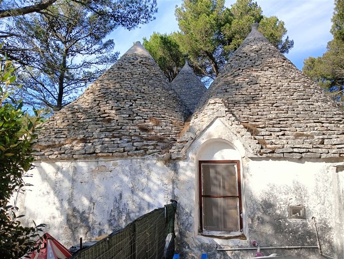 Image No.5-Propriété de 7 chambres à vendre à Fasano