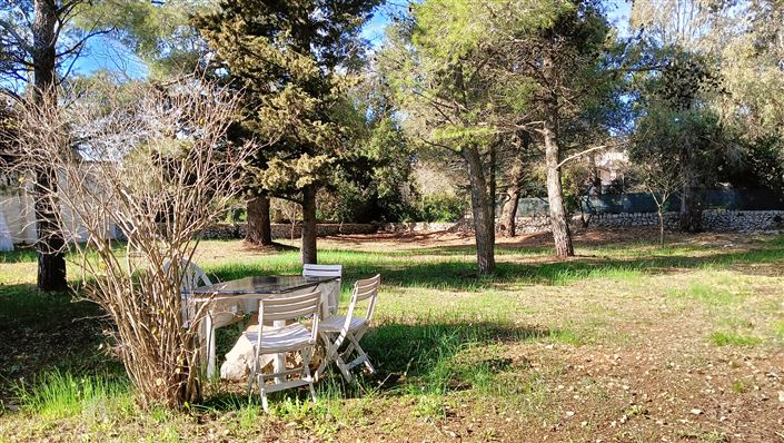 Image No.45-Propriété de 7 chambres à vendre à Fasano