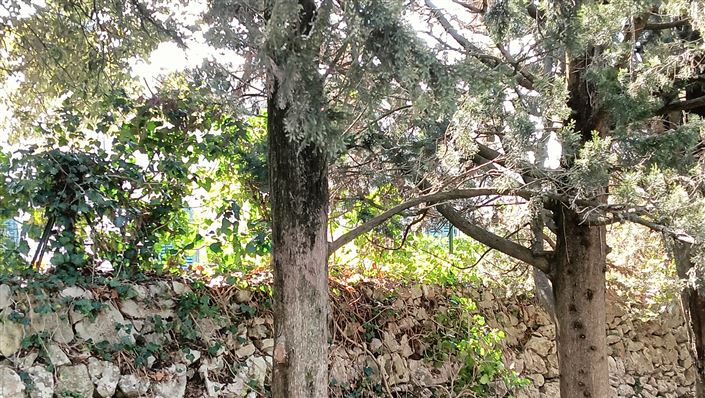 Image No.46-Propriété de 7 chambres à vendre à Fasano