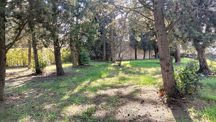 Image No.47-Propriété de 7 chambres à vendre à Fasano