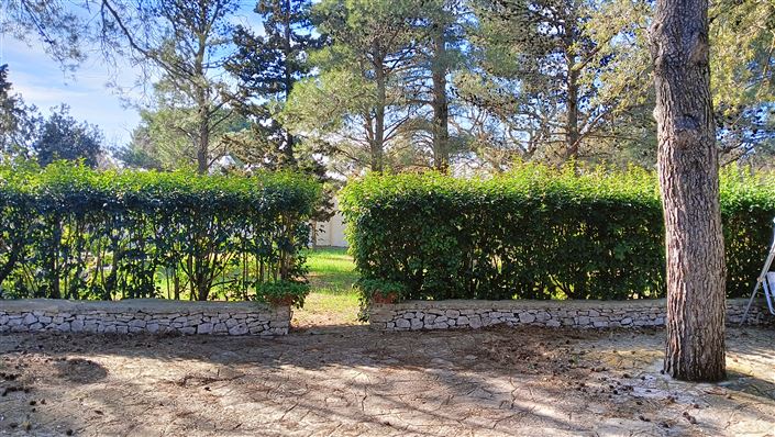 Image No.49-Propriété de 7 chambres à vendre à Fasano