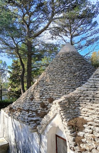 Image No.8-Propriété de 7 chambres à vendre à Fasano