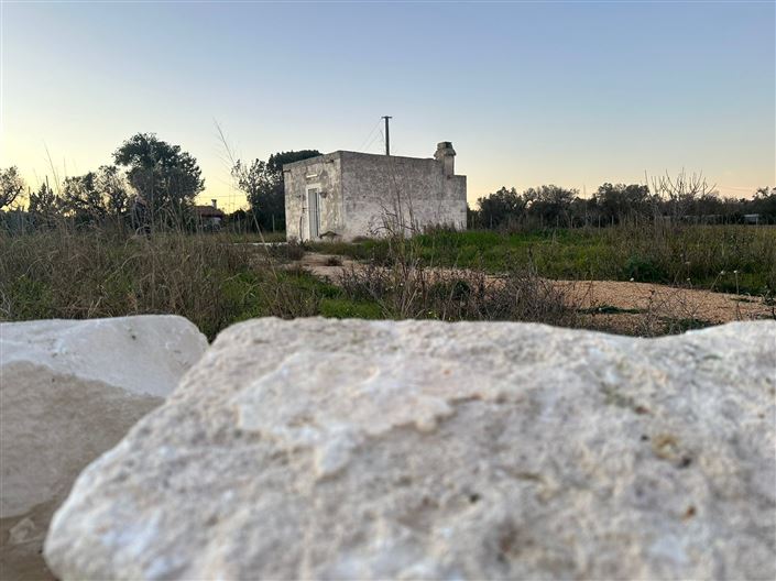 Image No.14-Ferme de 1 chambre à vendre à San Vito dei Normanni