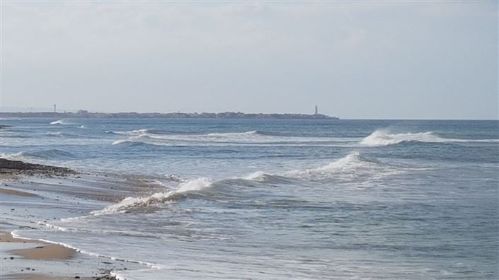 Image No.27-Ferme de 1 chambre à vendre à San Vito dei Normanni
