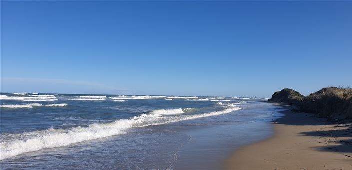 Image No.28-Ferme de 1 chambre à vendre à San Vito dei Normanni