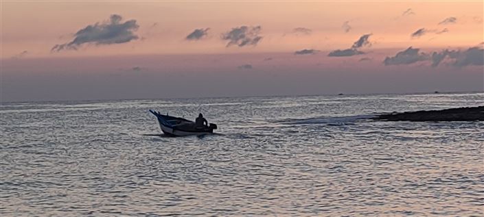 Image No.29-Ferme de 1 chambre à vendre à San Vito dei Normanni