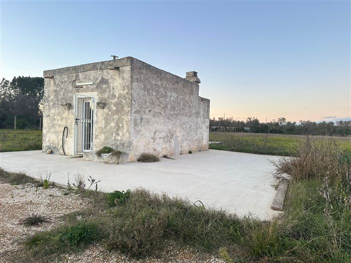 Image No.9-Ferme de 1 chambre à vendre à San Vito dei Normanni
