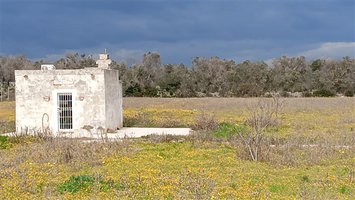 Image No.10-Ferme de 1 chambre à vendre à San Vito dei Normanni