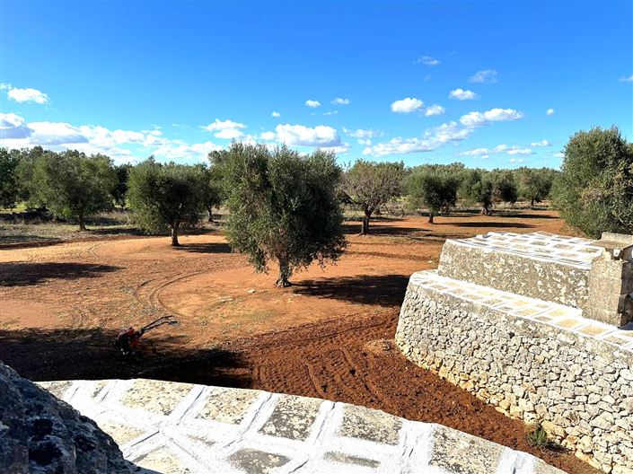 Image No.15-Propriété de 2 chambres à vendre à San Vito dei Normanni