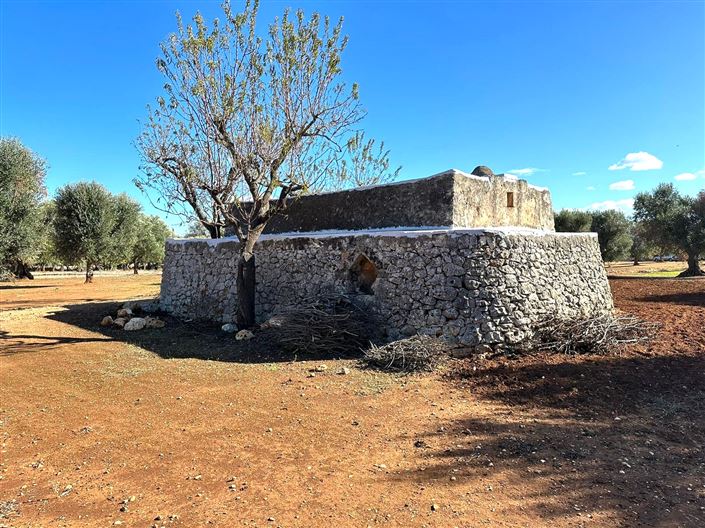 Image No.20-Propriété de 2 chambres à vendre à San Vito dei Normanni