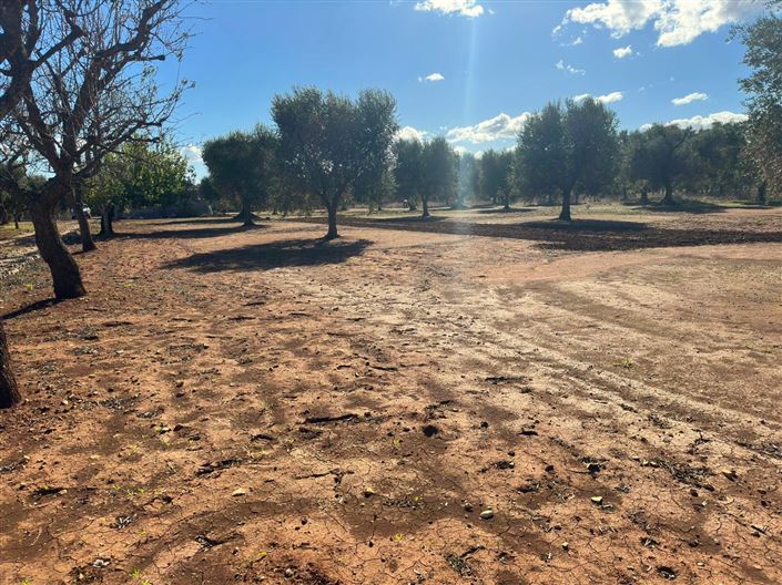 Image No.25-Propriété de 2 chambres à vendre à San Vito dei Normanni