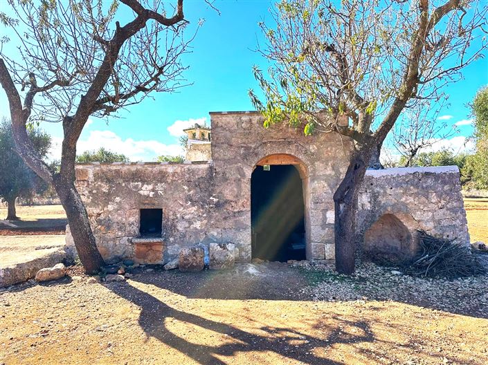 Image No.6-Propriété de 2 chambres à vendre à San Vito dei Normanni