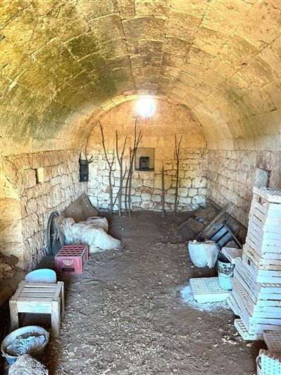 Image No.7-Propriété de 2 chambres à vendre à San Vito dei Normanni