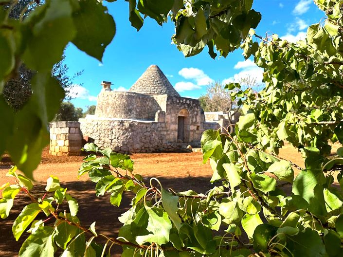 Image No.9-Propriété de 2 chambres à vendre à San Vito dei Normanni