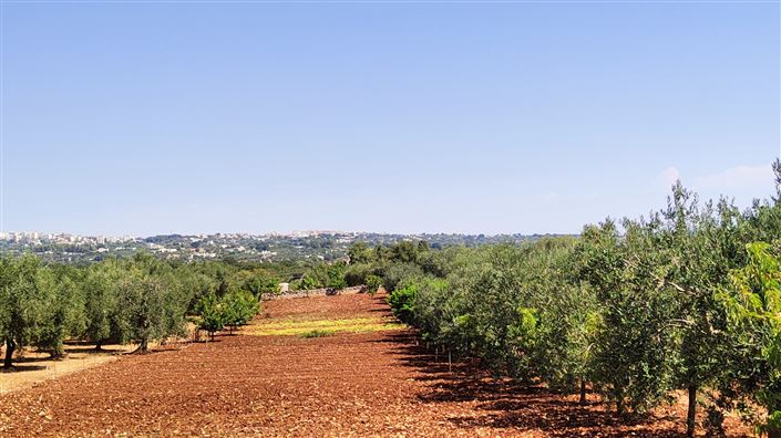 Image No.10-Propriété à vendre à Ostuni
