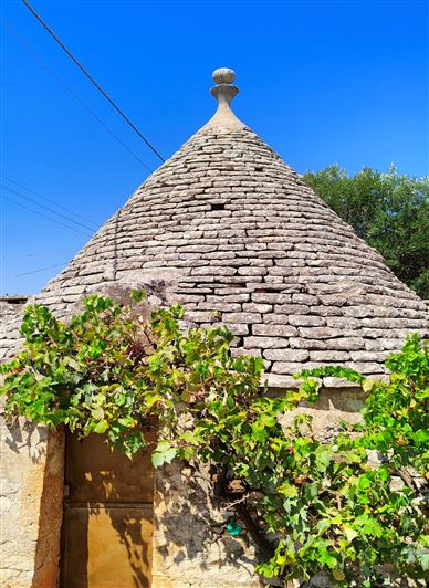 Image No.3-Propriété à vendre à Ostuni