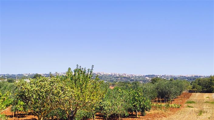 Image No.9-Propriété à vendre à Ostuni