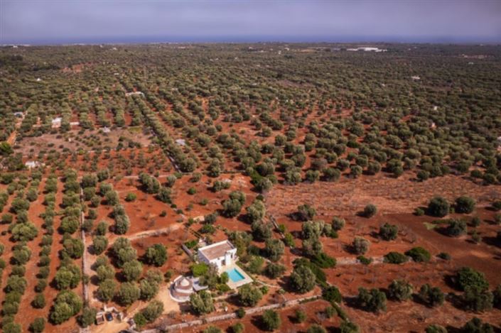 Image No.25-Propriété de 4 chambres à vendre à Carovigno