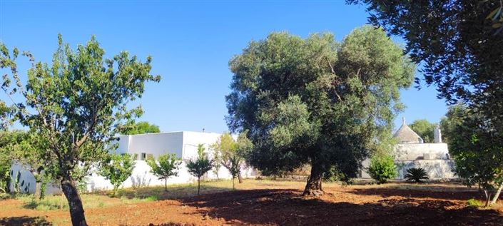 Image No.29-Propriété de 4 chambres à vendre à Carovigno