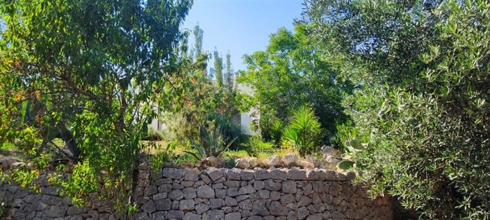 Image No.31-Propriété de 4 chambres à vendre à Carovigno