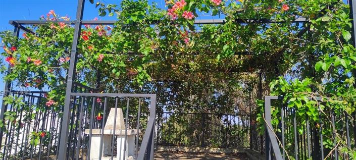 Image No.33-Propriété de 4 chambres à vendre à Carovigno