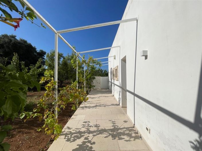 Image No.36-Propriété de 4 chambres à vendre à Carovigno