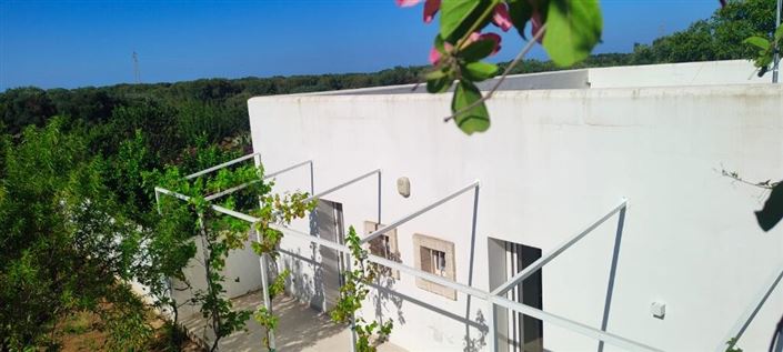 Image No.9-Propriété de 4 chambres à vendre à Carovigno