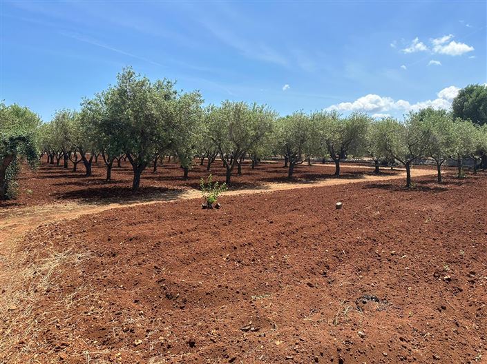 Image No.17-2 Bed Property for sale