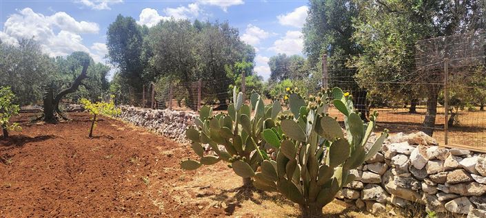 Image No.39-2 Bed Property for sale