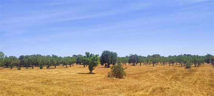 Image No.42-2 Bed Property for sale