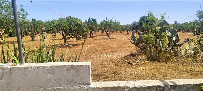 Image No.16-2 Bed Property for sale