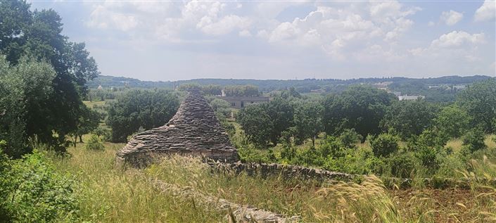 Image No.5-Propriété de 1 chambre à vendre à Alberobello
