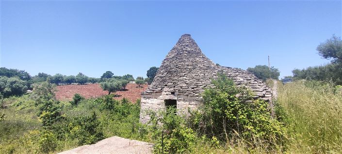 Image No.6-Propriété de 1 chambre à vendre à Alberobello